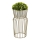 Lillealus 50x26 cm kuldne