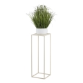 Lillealus 70x24 cm kreemikas