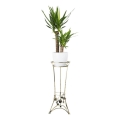 Lillealus 72x28 cm kuldne