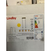 Lindby - LED Hämardatav lühter CERSEI 4xLED/4,8W/230V