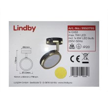 Lindby - LED Kohtvalgusti 1xG53/6W/230V