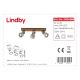 Lindby - LED Kohtvalgusti MITIS 3xGU10/5W/230V