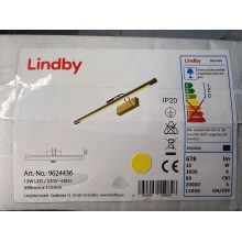 Lindby - LED Pildivalgusti MAILINE LED/13W/230V