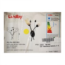 Lindby - LED Seinavalgusti STEFANIA 2xE14/4,5W/230V