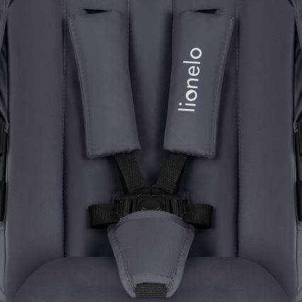 Lionelo - Kombineeritud 3-ühes jalutuskäru AMBER PLUS Hall Grafiit