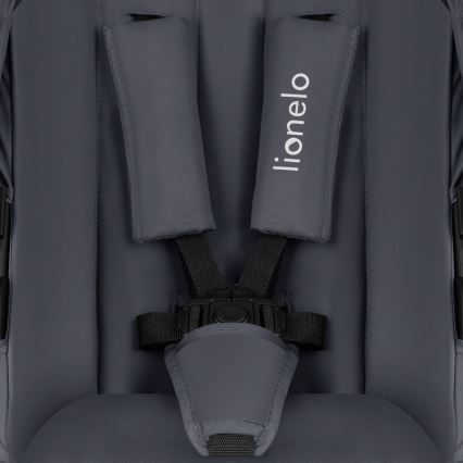 Lionelo - kombineeritud jalutuskäru 2-in-1 AMBER PLUS hall grafiit