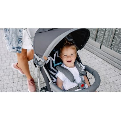 Lionelo - kompaktne jalutuskäru ELIA hall