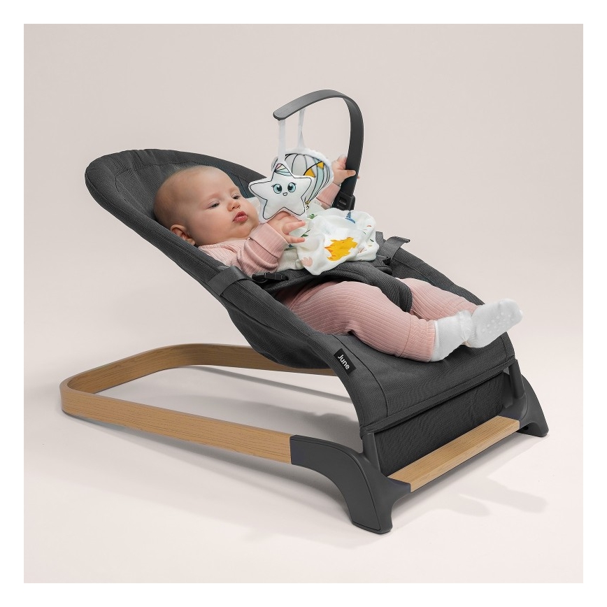 Lionelo - Laste kiik JUNE antratsiit