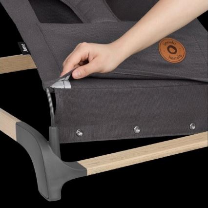 Lionelo - Laste kiik JUNE antratsiit