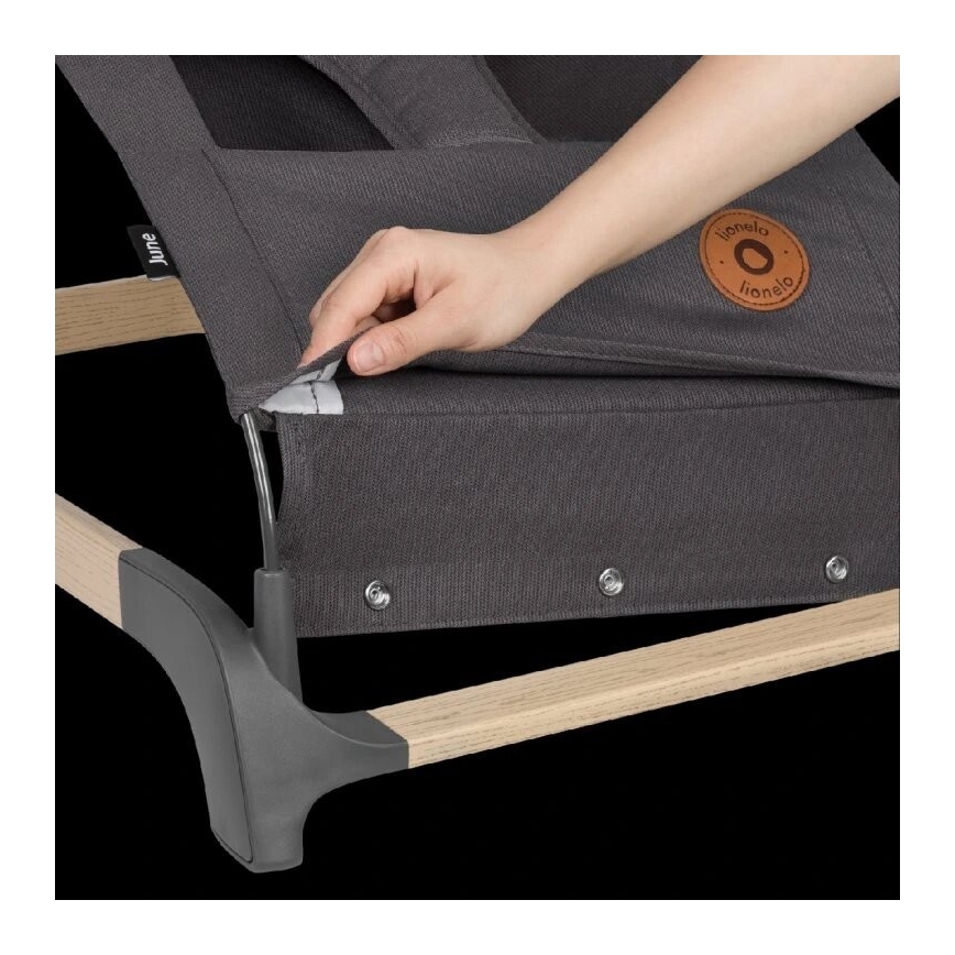 Lionelo - Laste kiik JUNE antratsiit