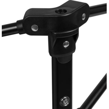 Lionelo - mänguait ROEL PLUS hall/mitmevärviline