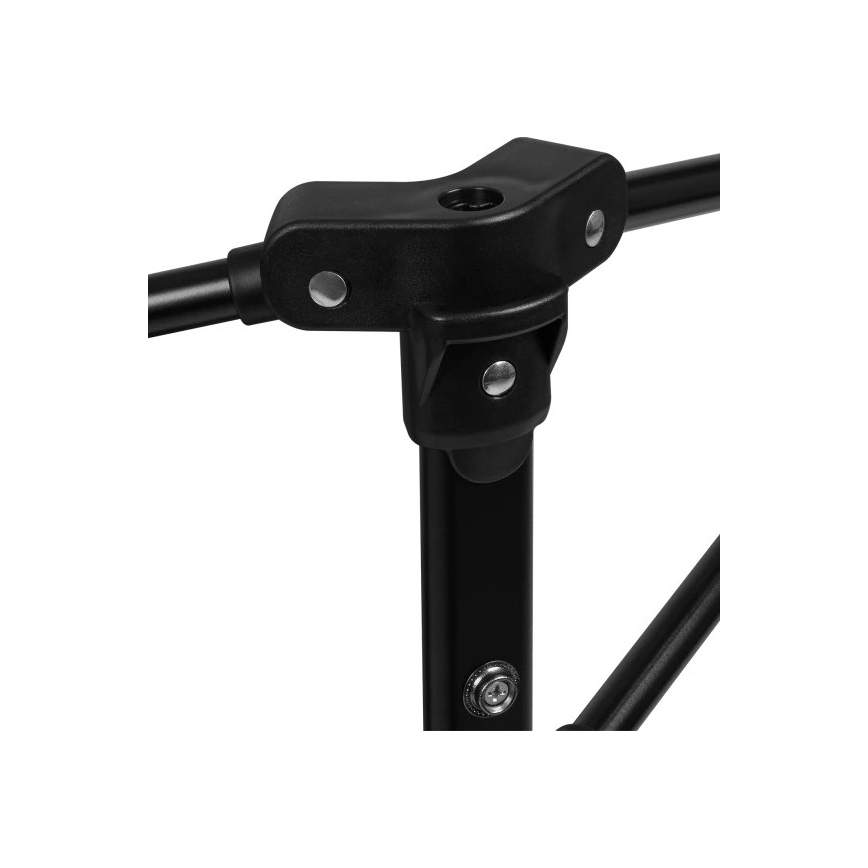 Lionelo - mänguait ROEL PLUS hall/mitmevärviline