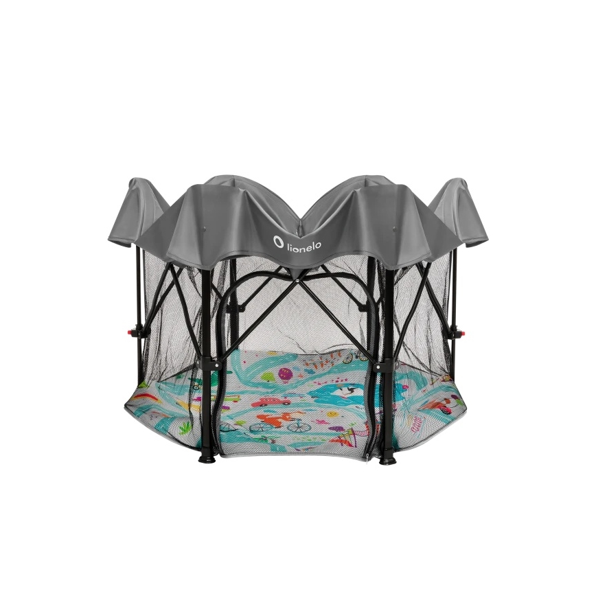 Lionelo - ROEL PLUS mänguait, hall mitmevärviline