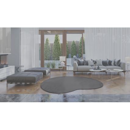LOREN libisemiskindel vaip 160x230 cm hall