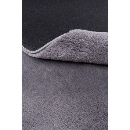 LOREN libisemiskindel vaip 160x230 cm hall