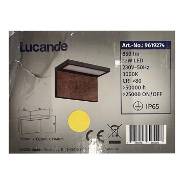 Lucande - LED Väli seinavalgusti LIGNUS LED/12W/230V IP65