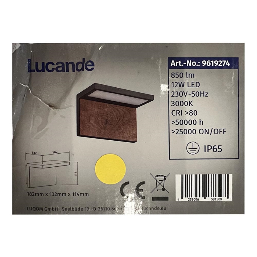 Lucande - LED Väli seinavalgusti LIGNUS LED/12W/230V IP65