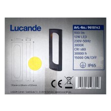 Lucande - LED Välivalgusti FENTI LED/12W/230V IP65