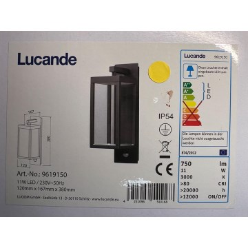 Lucande - LED Välivalgusti koos anduriga FERDINAND LED/10,8W/230V IP54