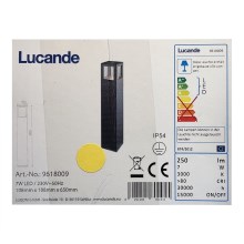 Lucande - LED Välivalgusti NICOLA LED/7W/230V IP54