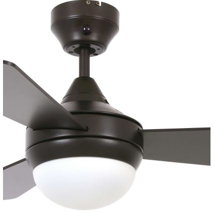 Lucci Air 512311 - Laeventilaator AIRLIE HUGGER 2xE27/15W/230V puit/pruun + kaugjuhtimispult