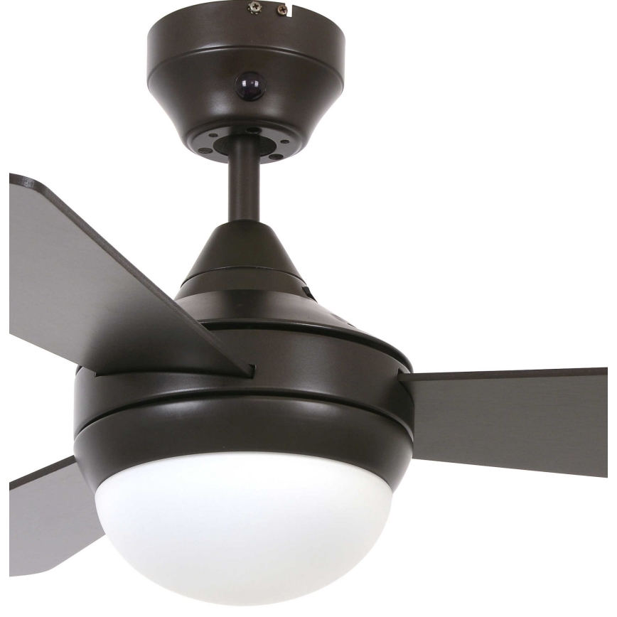 Lucci Air 512311 - Laeventilaator AIRLIE HUGGER 2xE27/15W/230V puit/pruun + kaugjuhtimispult