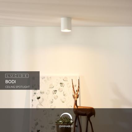 Lucide 09100/01/31 - Kohtvalgusti BODI 1xGU10/50W/230V