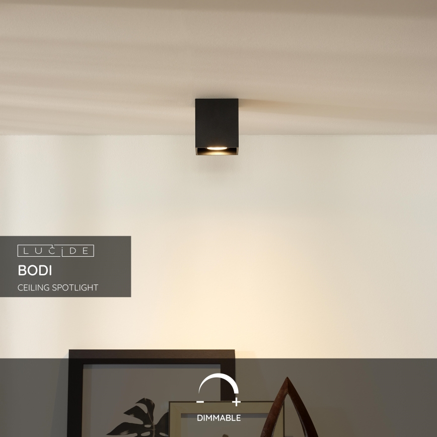Lucide 09101/01/30 - Kohtvalgusti BODI 1xGU10/50W/230V