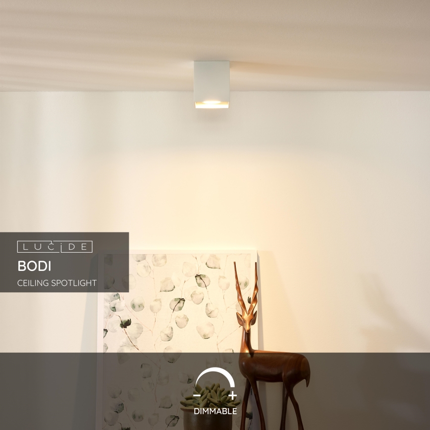 Lucide 09101/01/31 - Kohtvalgusti BODI 1xGU10/50W/230V