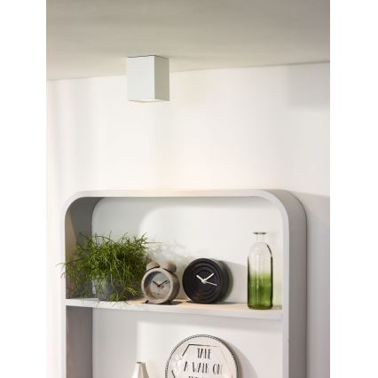 Lucide 09913/05/31 - LED Hämardatav kohtvalgusti BENTOO 1xGU10/5W/230V valge
