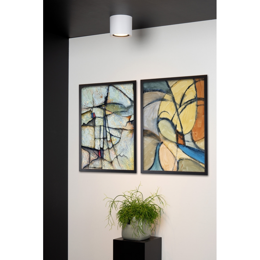 Lucide 09921/12/31 - LED Hämardatav kohtvalgusti FEDLER 1xGU10/12W/230V 2200-3000K CRI95 valge