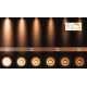 Lucide 09921/12/31 - LED Hämardatav kohtvalgusti FEDLER 1xGU10/12W/230V 2200-3000K CRI95 valge