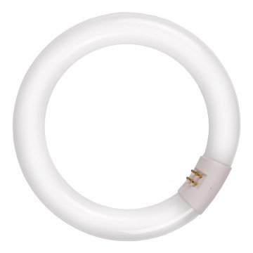 Lucide 50300/22/33 - Ringjas luminofoorvalgusti G10q/22W/230V 4000K