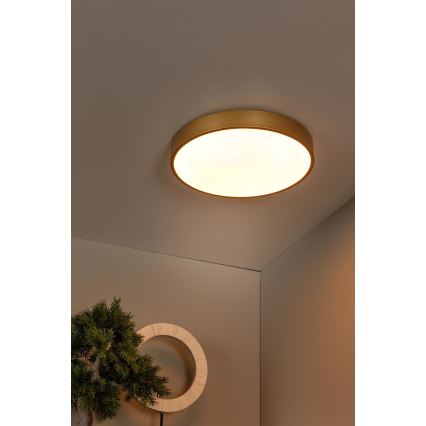 Lucide 79185/40/02 - LED Hämardatav laevalgusti UNAR LED/24W/230V d. 39,5 cm kuldne