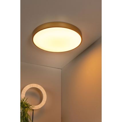 Lucide 79185/50/02 - LED Hämardatav laevalgusti UNAR LED/36W/230V d. 49,5 cm kuldne
