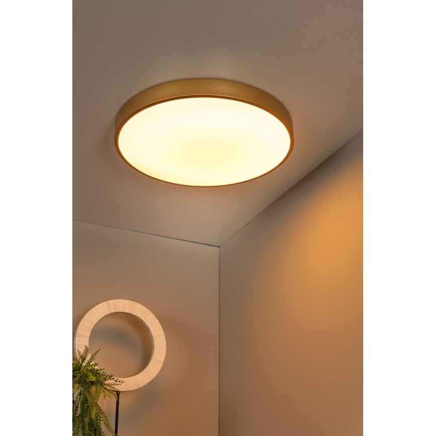 Lucide 79185/50/02 - LED Hämardatav laevalgusti UNAR LED/36W/230V d. 49,5 cm kuldne