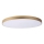 Lucide 79185/80/02 - LED Hämardatav laevalgusti UNAR LED/80W/230V d. 80 cm kuldne