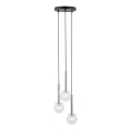 Lühter DAISY 3xG9/12W/230V d. 27 cm läikiv kroom/must/läbipaistev