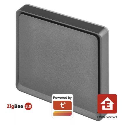 Lüliti 1-nupu GoSmart 1xCR2430 Tuya must