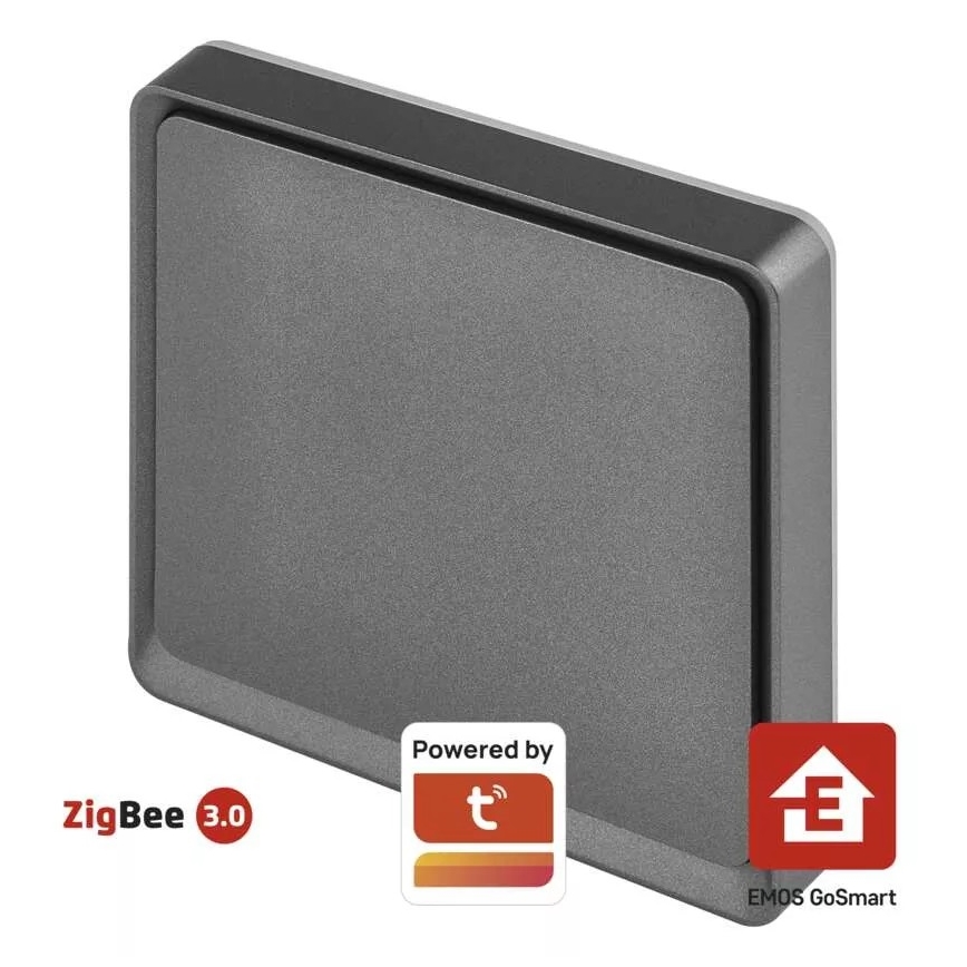 Lüliti 1-nupu GoSmart 1xCR2430 Tuya must