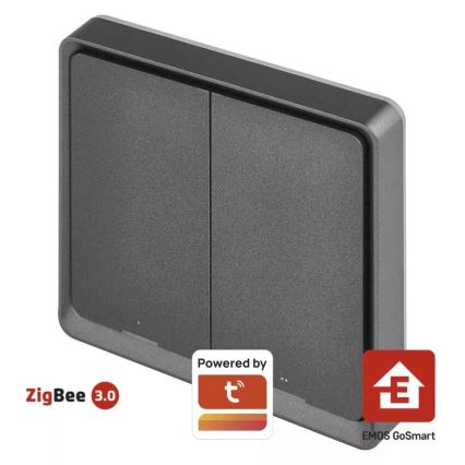 Lüliti 2-nupu GoSmart 1xCR2430 Tuya must