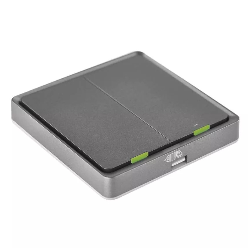 Lüliti 2-nupu GoSmart 1xCR2430 Tuya must