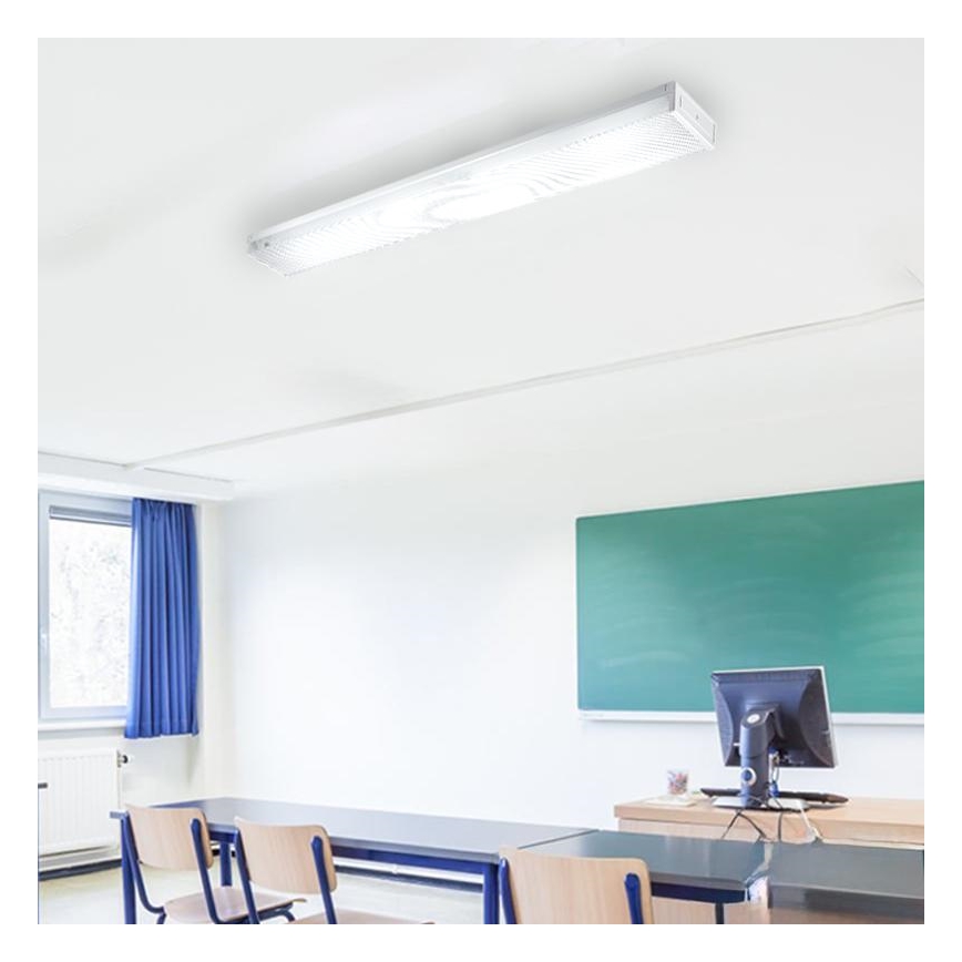 Luminofoorvalgusti T8 2xG13/18W/230V 124 cm