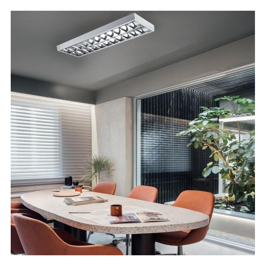 Luminofoorvalgusti T8 2xG13/18W/230V 120 cm