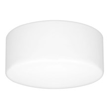 LUXERA 45121 - Vannitoavalgusti BLANK 1xE27/40W/230V IP44