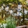 Markslöjd 107293 - LED Väli dekoratiivne kett GARLAND GARDEN 10xLED 5,5m IP44
