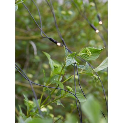 Markslöjd 108178 - LED välistingimustes kasutatav jõulukardin GARDEN24 160xLED/4W/24V 2x2m soe valge