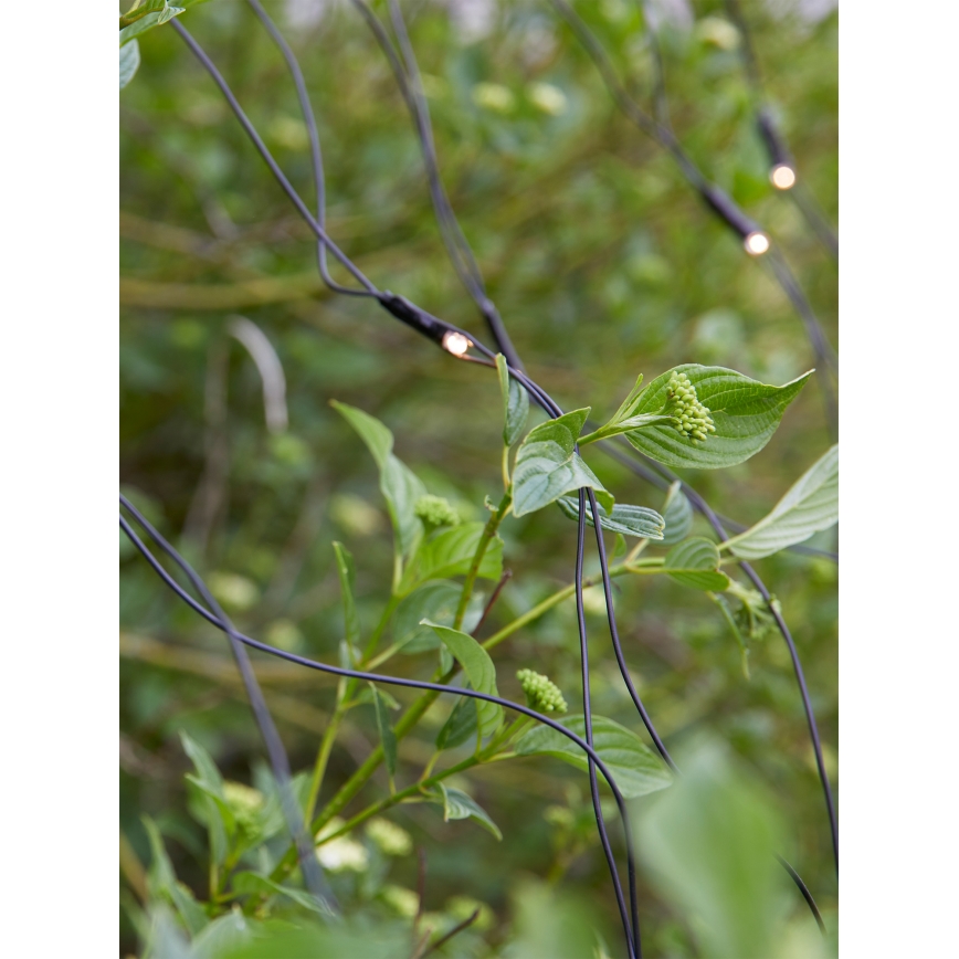 Markslöjd 108178 - LED välistingimustes kasutatav jõulukardin GARDEN24 160xLED/4W/24V 2x2m soe valge