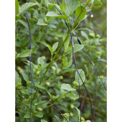 Markslöjd 108178 - LED välistingimustes kasutatav jõulukardin GARDEN24 160xLED/4W/24V 2x2m soe valge