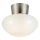Markslöjd 109025 - Vannitoa laelamp MALAGA 1xE27/40W/230V IP44 mattkroom